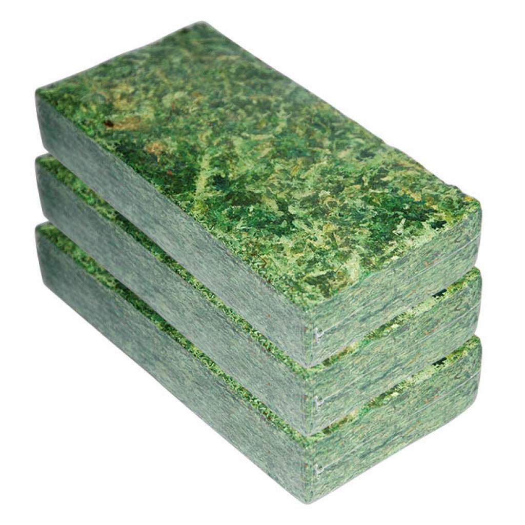 Sphagnum- & Waldmoos
